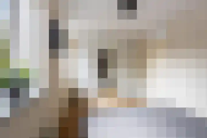 Agnes Bartoutslaan 66 Hendrik-Ido-Ambacht thumbnail 30
