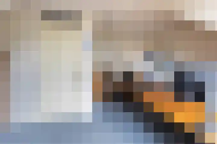 Agnes Bartoutslaan 66 Hendrik-Ido-Ambacht thumbnail 35