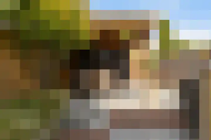 Agnes Bartoutslaan 66 Hendrik-Ido-Ambacht thumbnail 41