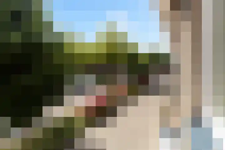 Agnes Bartoutslaan 66 Hendrik-Ido-Ambacht thumbnail 45