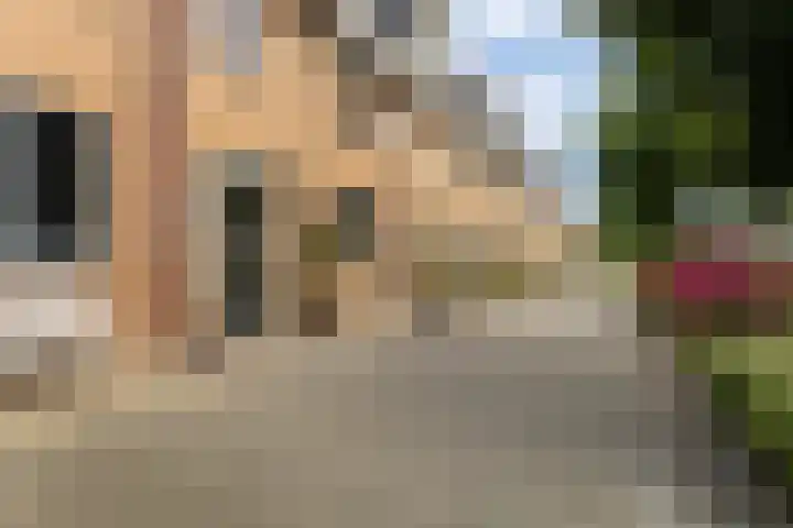 Agnes Bartoutslaan 66 Hendrik-Ido-Ambacht thumbnail 53
