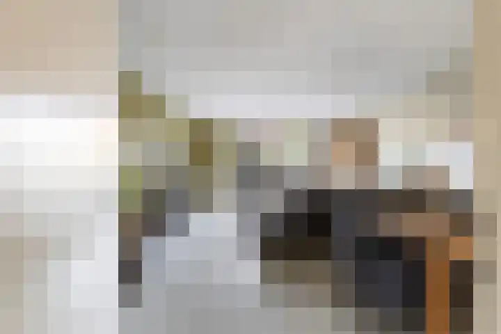Agnes Bartoutslaan 66 Hendrik-Ido-Ambacht thumbnail 6