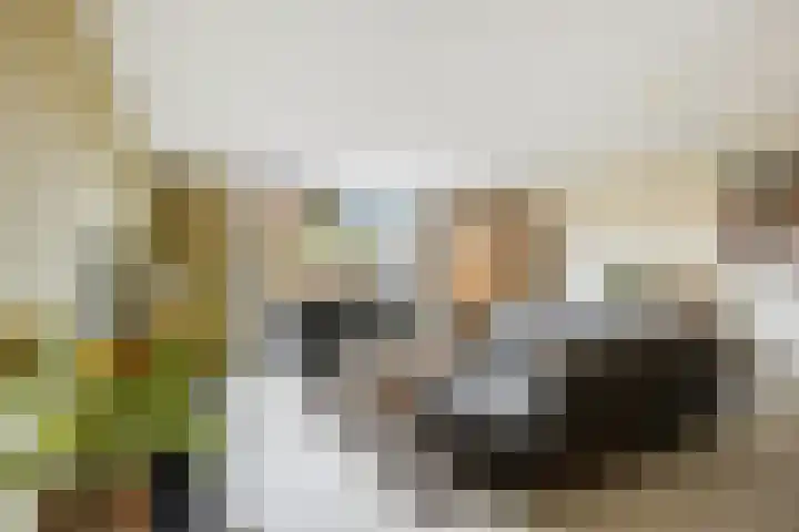 Agnes Bartoutslaan 66 Hendrik-Ido-Ambacht thumbnail 8