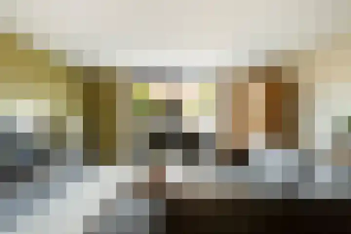 Agnes Bartoutslaan 66 Hendrik-Ido-Ambacht thumbnail 9