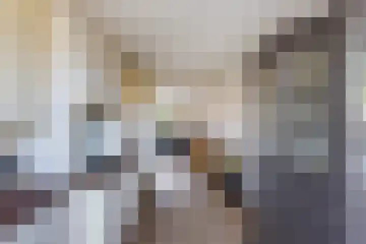 Agnes Bartoutslaan 74 Hendrik-Ido-Ambacht thumbnail 16