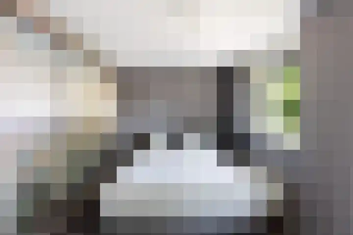 Agnes Bartoutslaan 74 Hendrik-Ido-Ambacht thumbnail 24