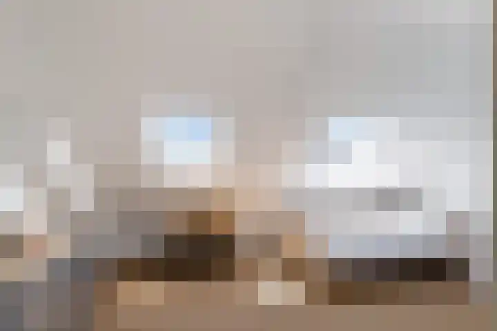Agnes Bartoutslaan 74 Hendrik-Ido-Ambacht thumbnail 27