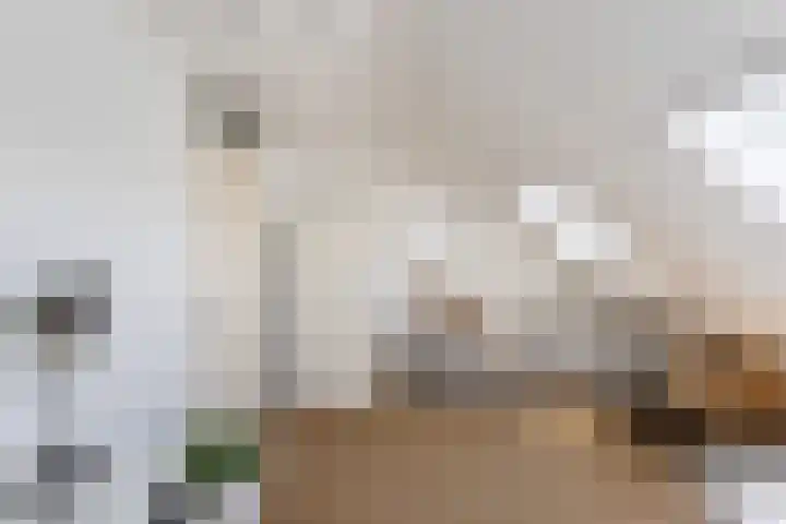 Agnes Bartoutslaan 74 Hendrik-Ido-Ambacht thumbnail 29