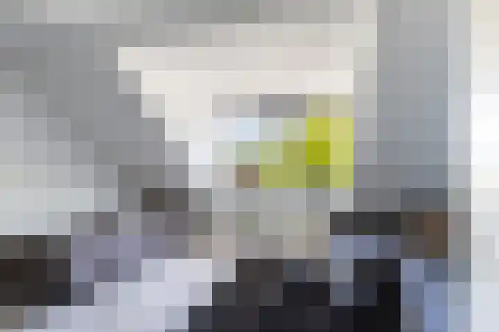 Agnes Bartoutslaan 74 Hendrik-Ido-Ambacht thumbnail 30