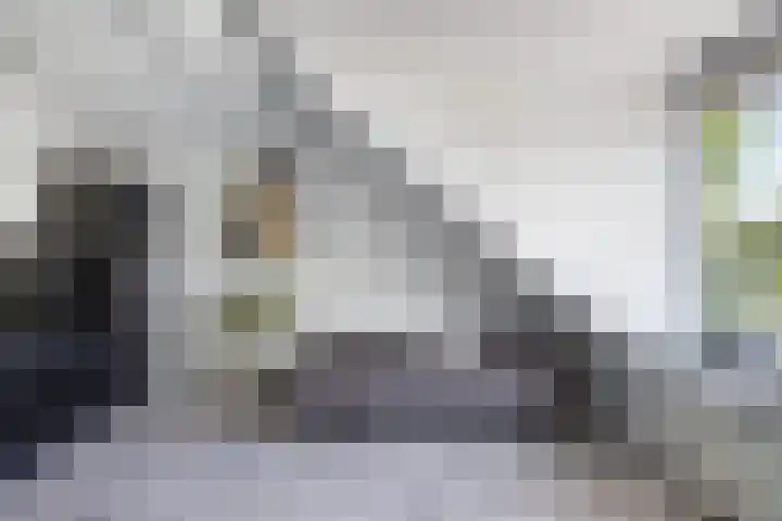 Agnes Bartoutslaan 74 Hendrik-Ido-Ambacht thumbnail 32
