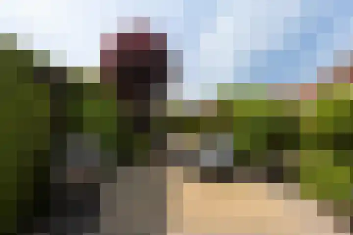 Agnes Bartoutslaan 74 Hendrik-Ido-Ambacht thumbnail 38