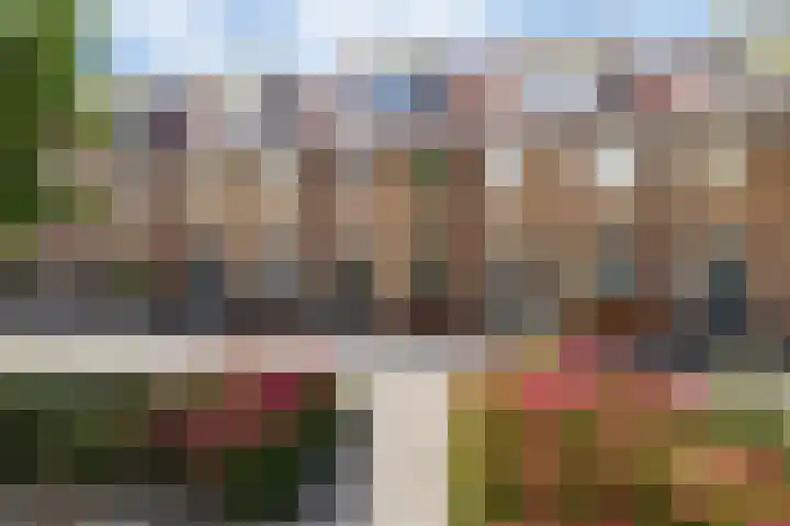 Agnes Bartoutslaan 74 Hendrik-Ido-Ambacht thumbnail 4