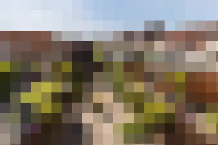 Agnes Bartoutslaan 74 Hendrik-Ido-Ambacht thumbnail 41