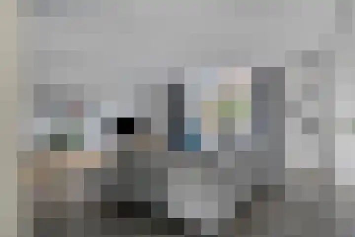 Agnes Bartoutslaan 84 Hendrik-Ido-Ambacht thumbnail 10