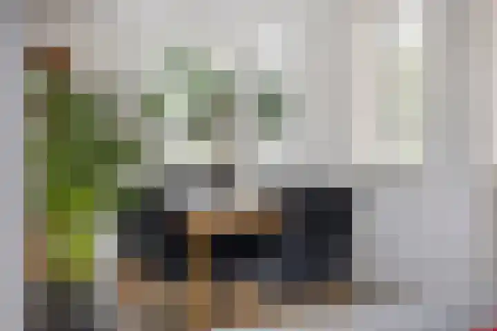Agnes Bartoutslaan 84 Hendrik-Ido-Ambacht thumbnail 11