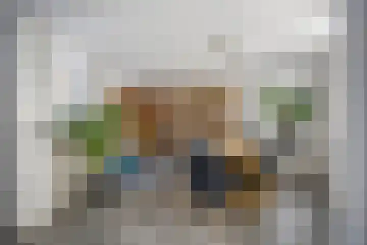 Agnes Bartoutslaan 84 Hendrik-Ido-Ambacht thumbnail 12