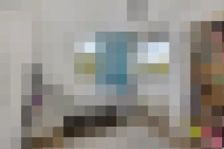 Agnes Bartoutslaan 84 Hendrik-Ido-Ambacht thumbnail 25