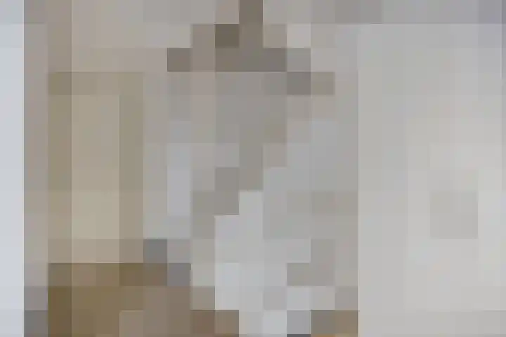 Agnes Bartoutslaan 84 Hendrik-Ido-Ambacht thumbnail 29