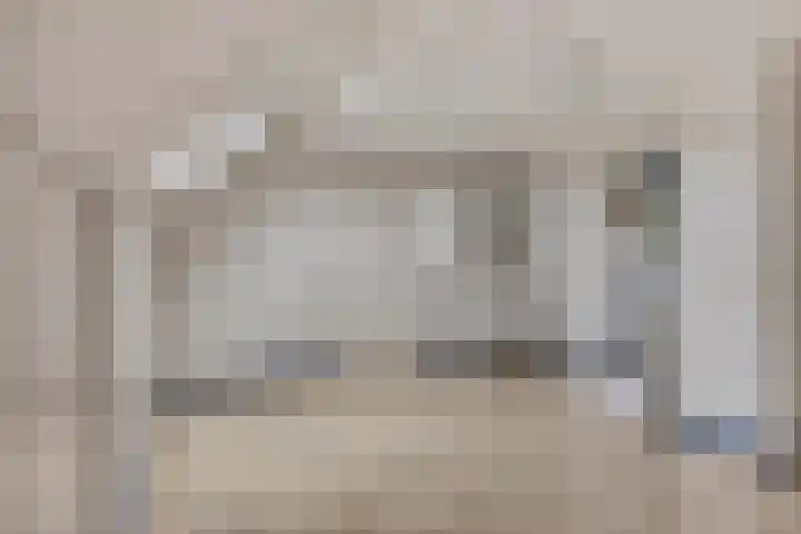 Agnes Bartoutslaan 84 Hendrik-Ido-Ambacht thumbnail 30