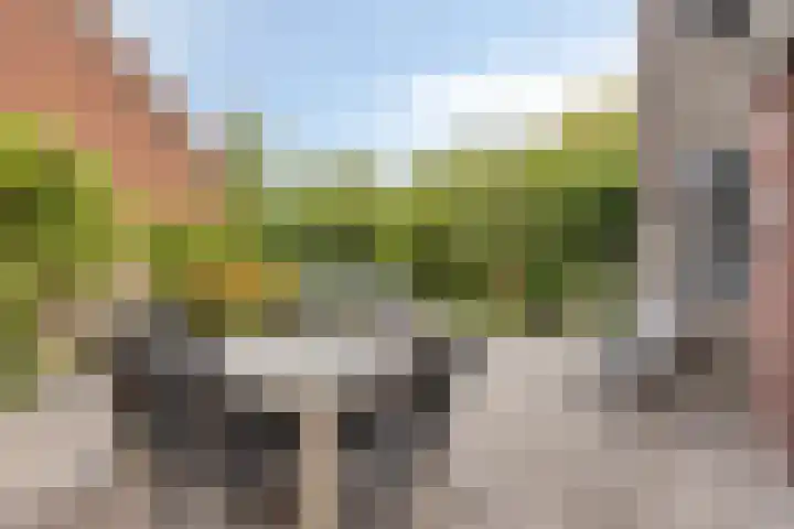Agnes Bartoutslaan 84 Hendrik-Ido-Ambacht thumbnail 36