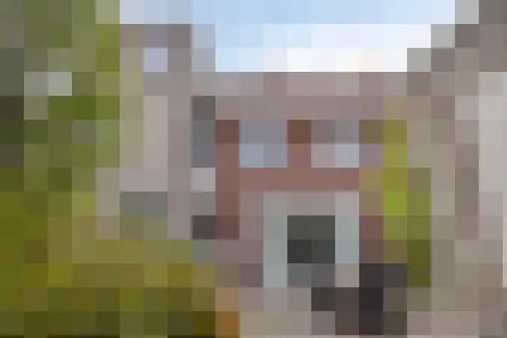 Agnes Bartoutslaan 84 Hendrik-Ido-Ambacht thumbnail 41