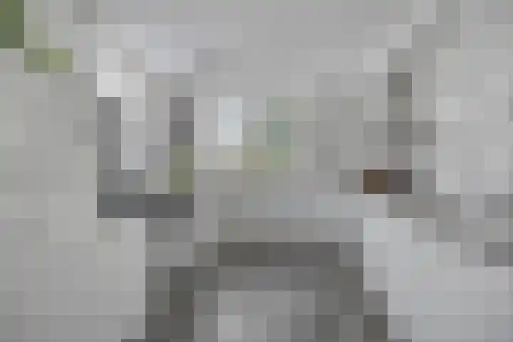 Agnes Bartoutslaan 84 Hendrik-Ido-Ambacht thumbnail 5