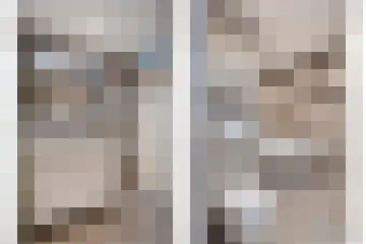 Agnes Bartoutslaan 84 Hendrik-Ido-Ambacht thumbnail 6