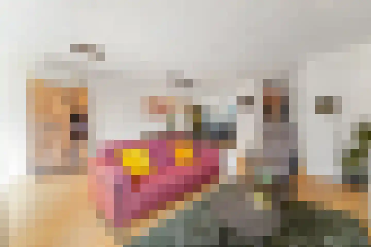 Agnes Croesinklaan 3 Schipluiden thumbnail 16