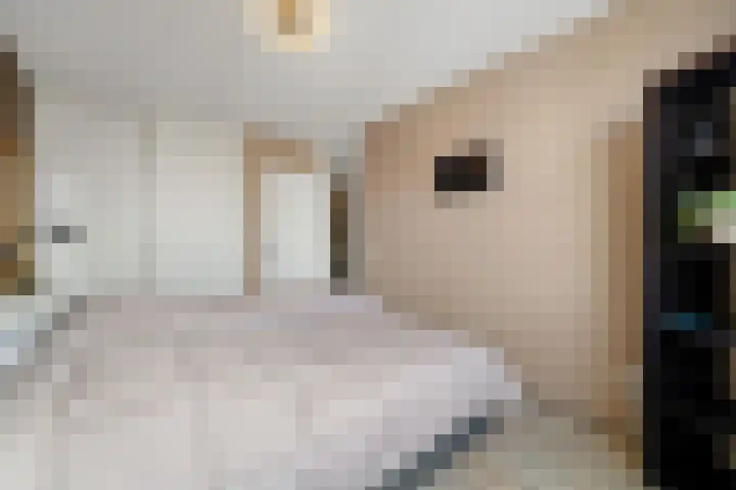 Agnes Croesinklaan 3 Schipluiden thumbnail 33
