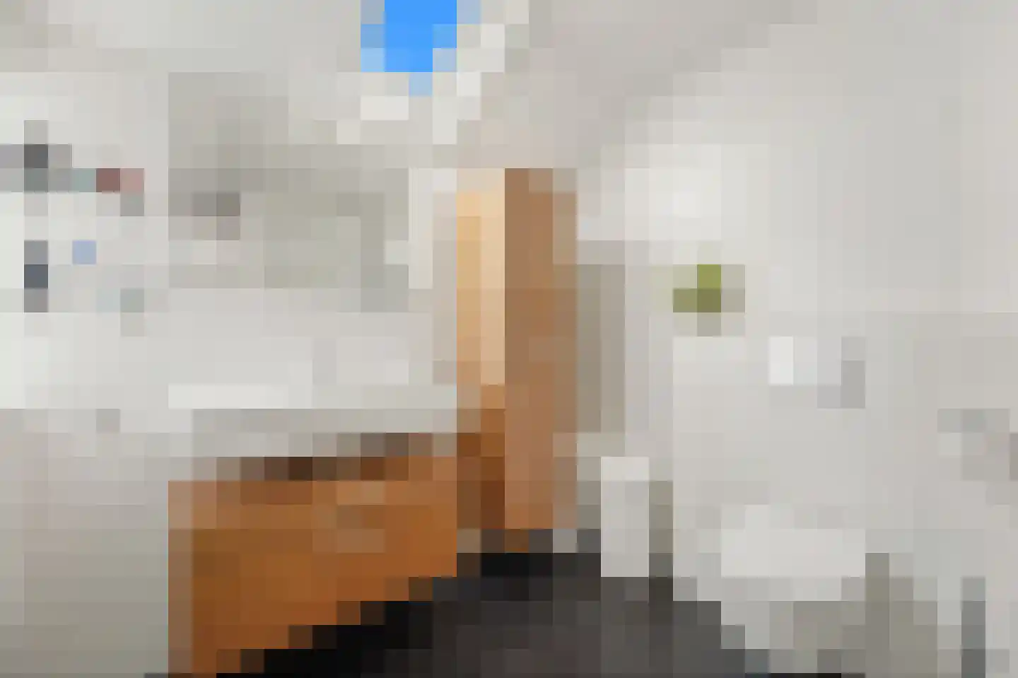 Agnes Croesinklaan 3 Schipluiden thumbnail 38