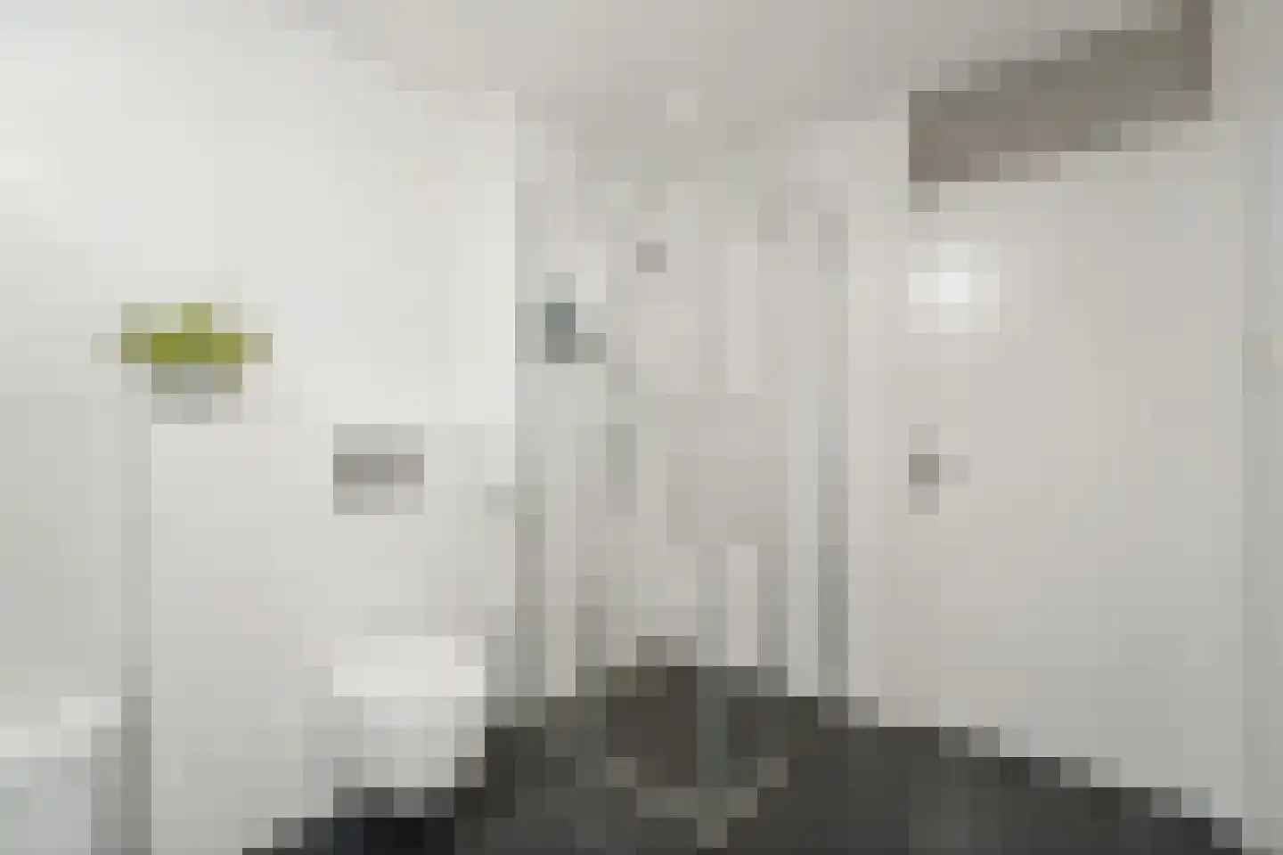 Agnes Croesinklaan 3 Schipluiden thumbnail 39
