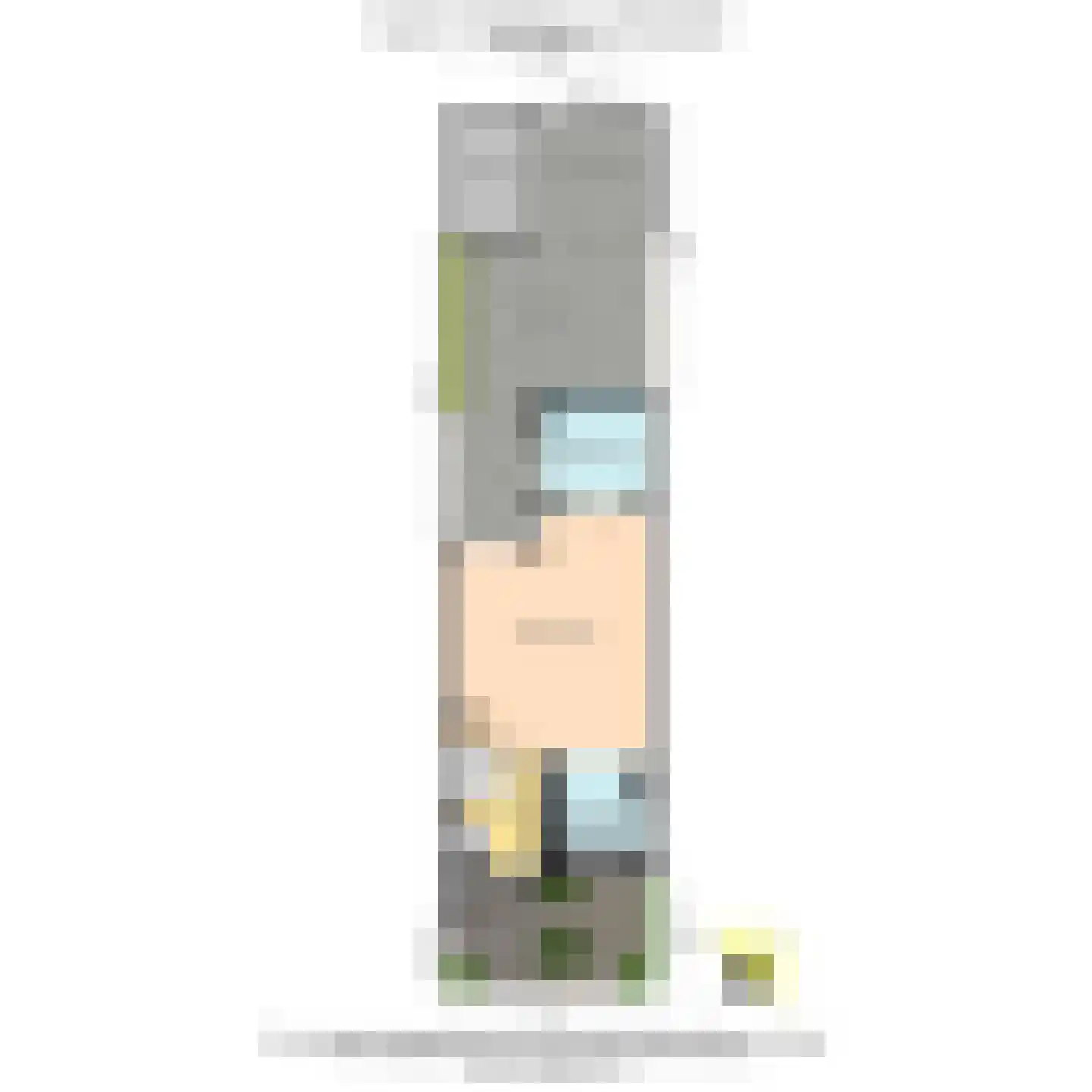 Agnes Croesinklaan 3 Schipluiden thumbnail 50
