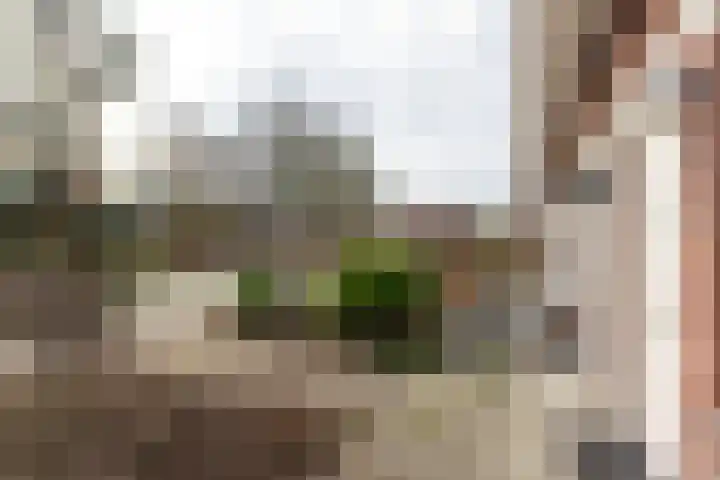 Agnes Huijnstraat 20 Venlo thumbnail 4