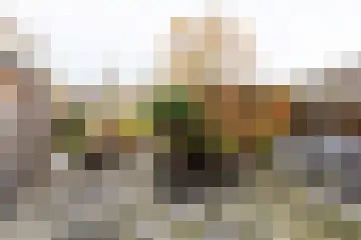 Agnes Huijnstraat 20 Venlo thumbnail 40
