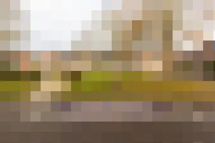 Agnes Huijnstraat 20 Venlo thumbnail 46