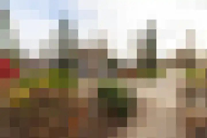 Agnes Huijnstraat 20 Venlo thumbnail 50