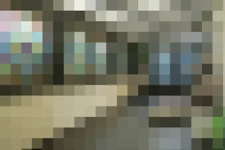 Agnes Printhagenstraat 21 Geleen thumbnail 10