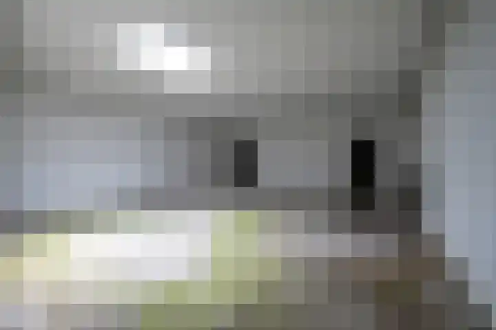Agnes Printhagenstraat 21 Geleen thumbnail 25