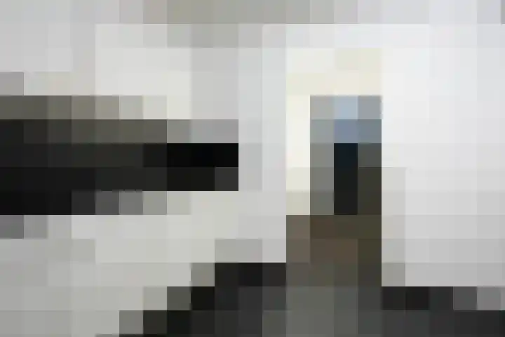 Agnes Printhagenstraat 21 Geleen thumbnail 27