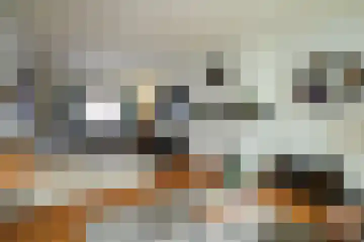 Agnes Printhagenstraat 21 Geleen thumbnail 5