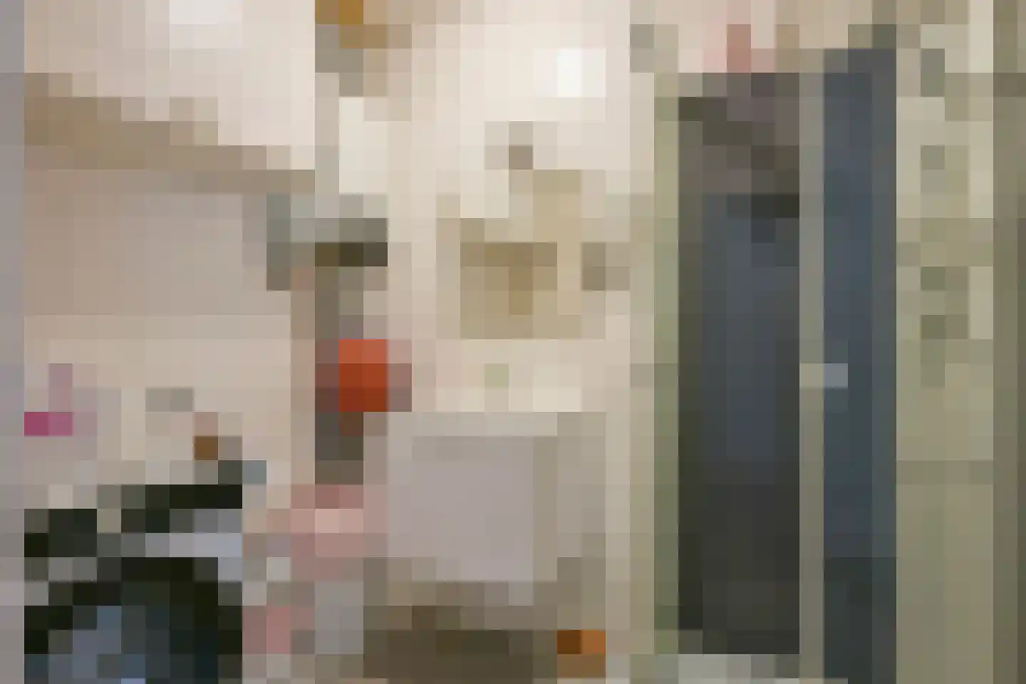 Agnes Printhagenstraat 23 Geleen thumbnail 16