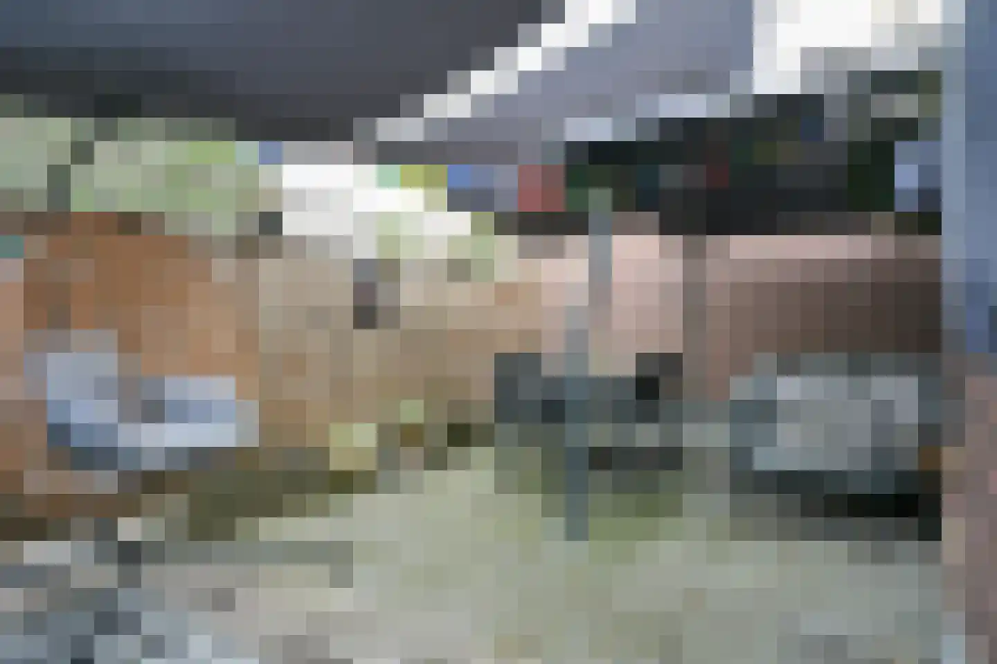 Agnes Printhagenstraat 23 Geleen thumbnail 28