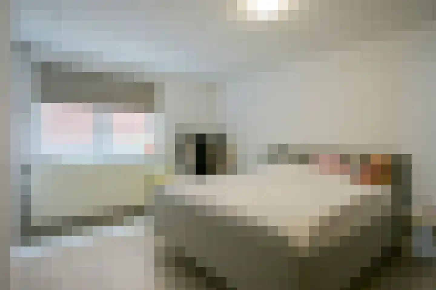 Agnes Printhagenstraat 23 Geleen thumbnail 32