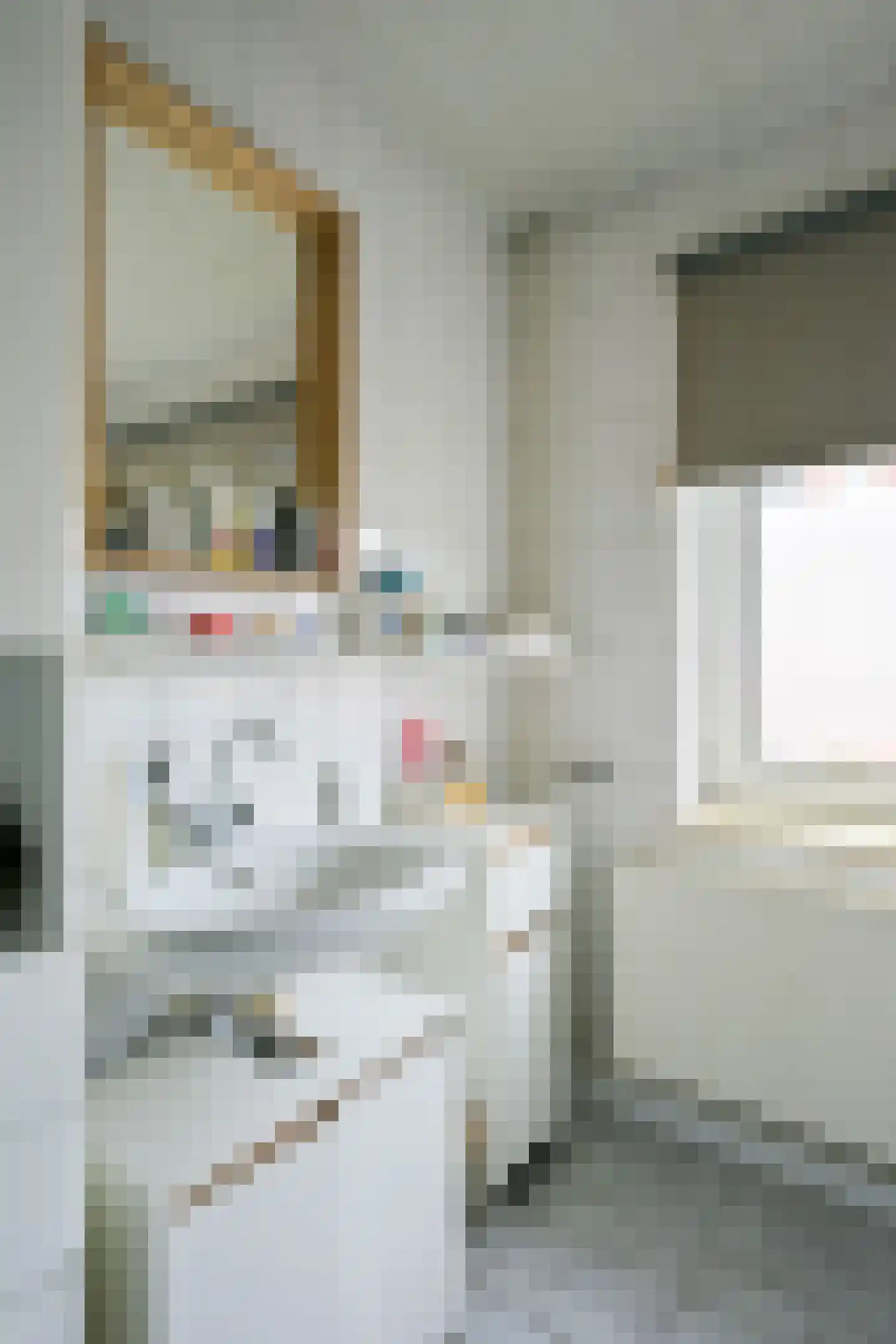 Agnes Printhagenstraat 23 Geleen thumbnail 33