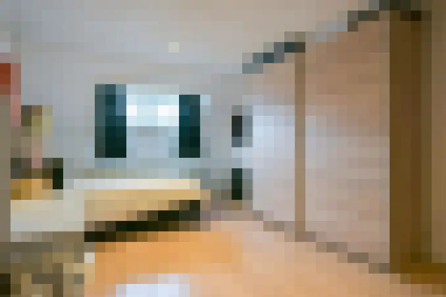 Agnes Printhagenstraat 23 Geleen thumbnail 37