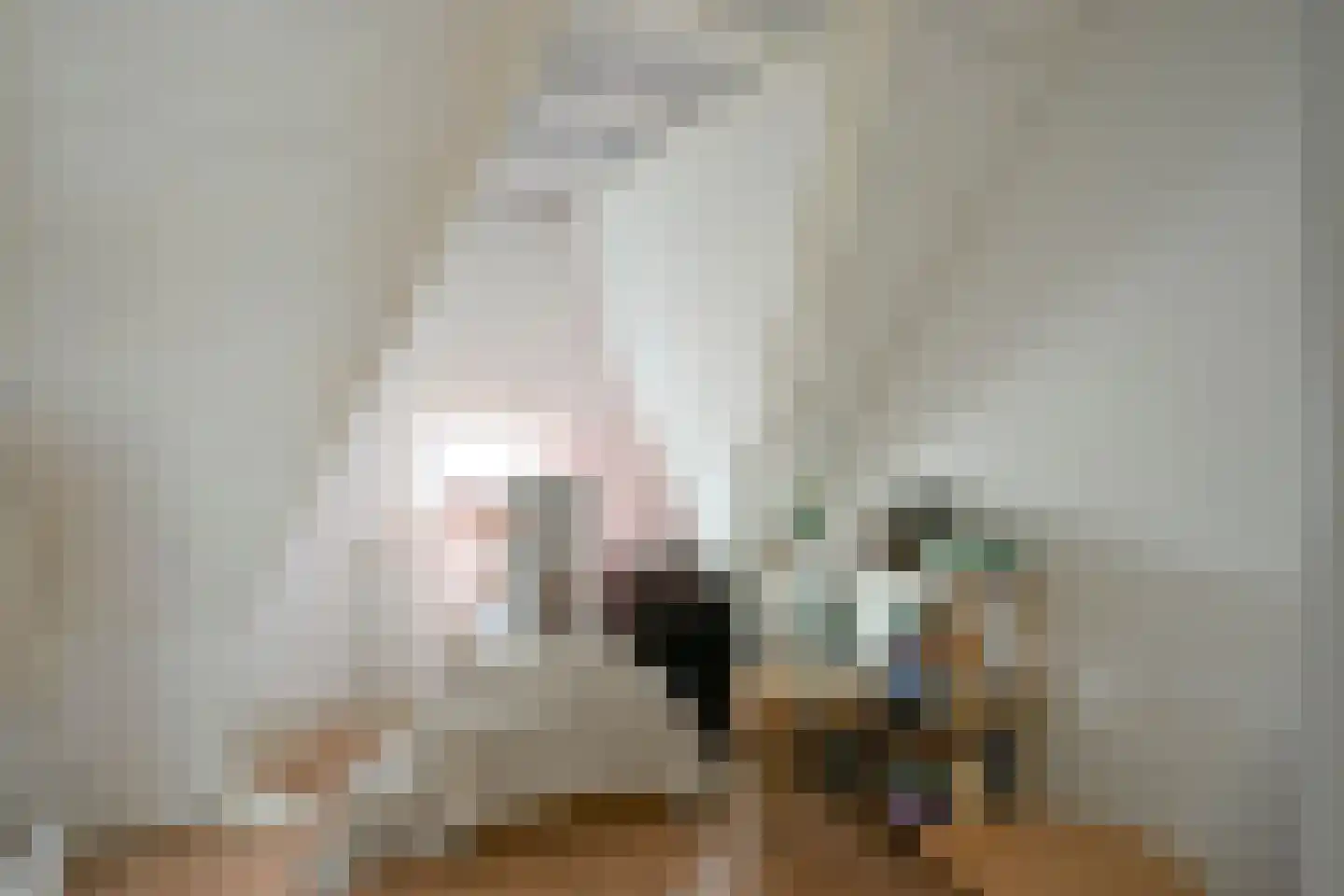 Agnes Printhagenstraat 23 Geleen thumbnail 39