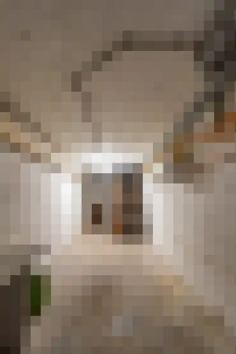 Agnes Printhagenstraat 28 Geleen thumbnail 37