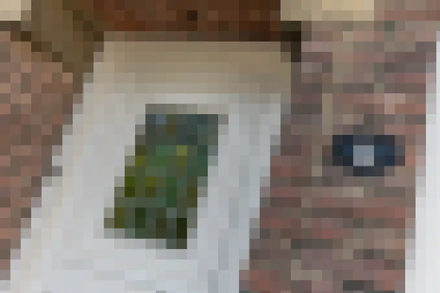 Agnes Printhagenstraat 8 Geleen thumbnail 14