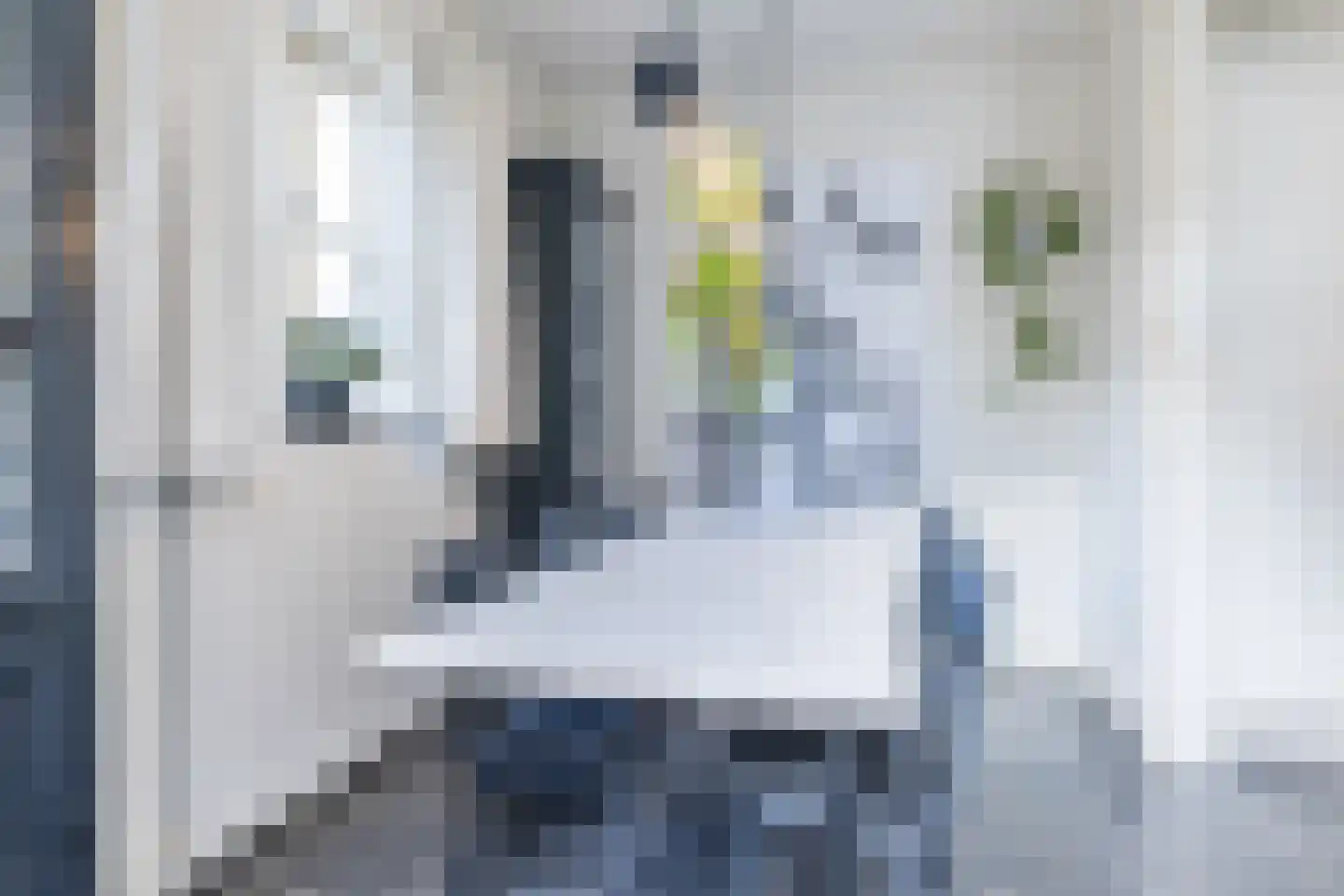 Agnes Printhagenstraat 8 Geleen thumbnail 21