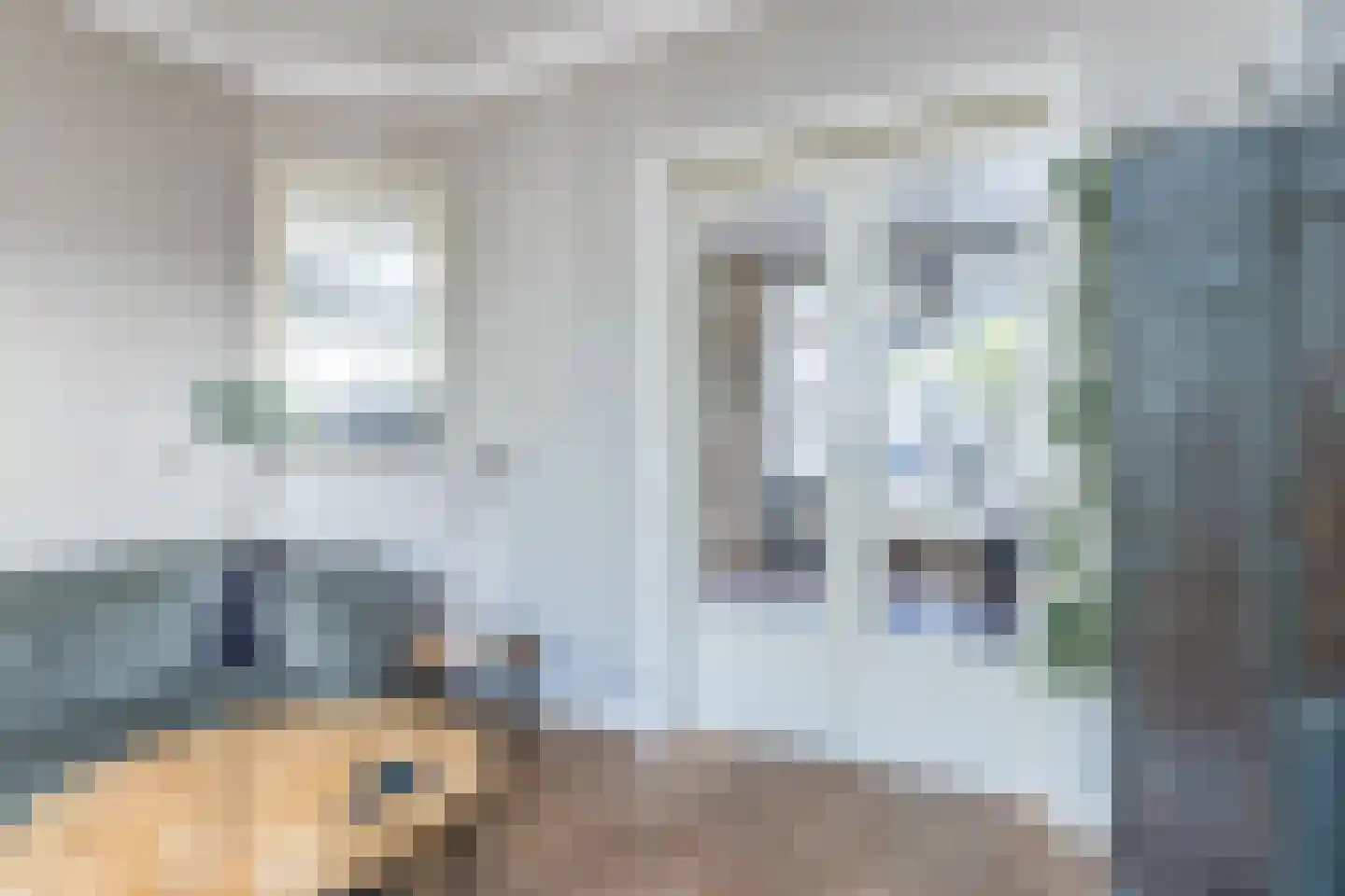 Agnes Printhagenstraat 8 Geleen thumbnail 26